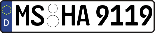 MS-HA9119