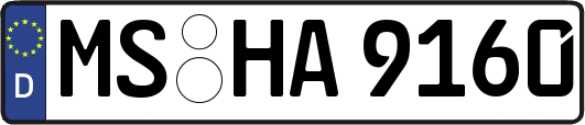 MS-HA9160