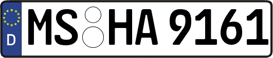 MS-HA9161