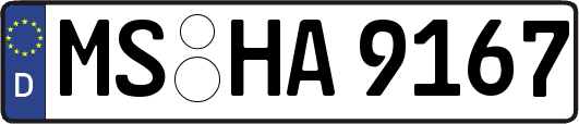 MS-HA9167