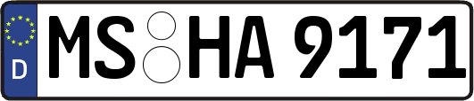 MS-HA9171