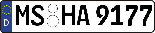 MS-HA9177