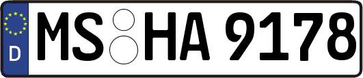 MS-HA9178
