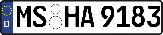 MS-HA9183