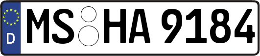 MS-HA9184
