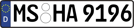 MS-HA9196