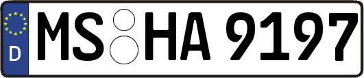 MS-HA9197