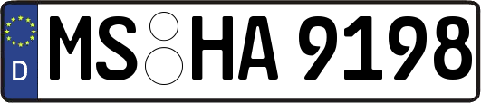 MS-HA9198
