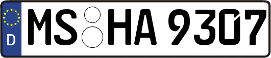 MS-HA9307