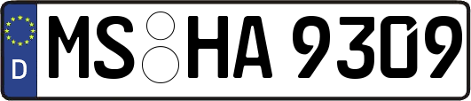 MS-HA9309