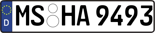 MS-HA9493