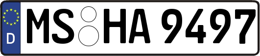MS-HA9497