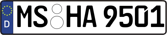 MS-HA9501