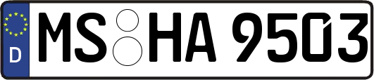 MS-HA9503