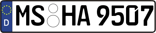 MS-HA9507