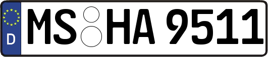 MS-HA9511