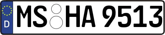 MS-HA9513