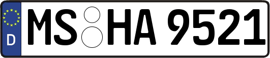MS-HA9521