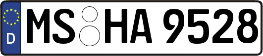 MS-HA9528