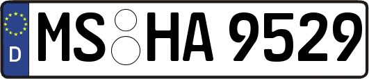 MS-HA9529