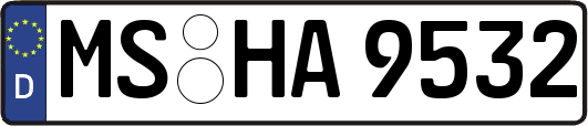 MS-HA9532