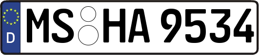 MS-HA9534