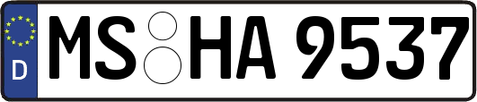 MS-HA9537