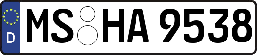 MS-HA9538