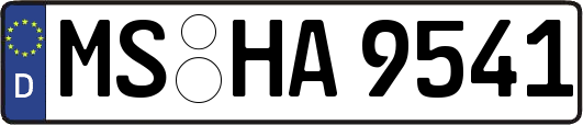MS-HA9541