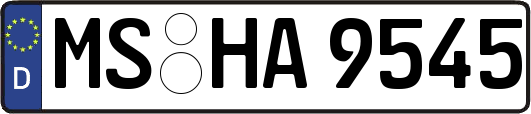 MS-HA9545