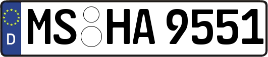 MS-HA9551