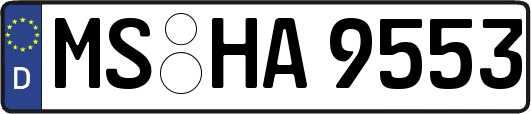 MS-HA9553