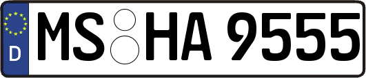 MS-HA9555
