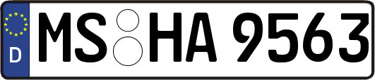 MS-HA9563