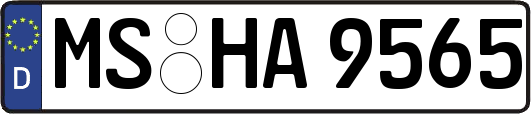 MS-HA9565