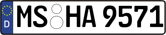 MS-HA9571