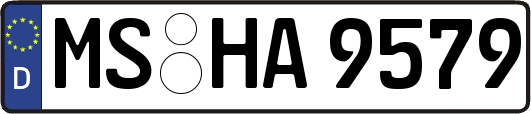 MS-HA9579