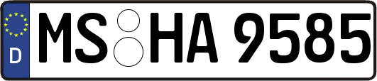 MS-HA9585