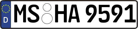 MS-HA9591