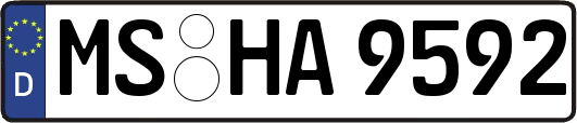 MS-HA9592