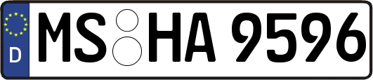 MS-HA9596