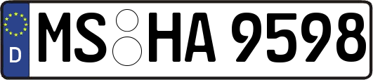 MS-HA9598