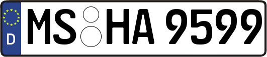 MS-HA9599
