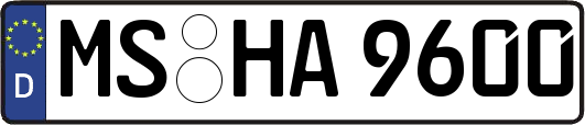 MS-HA9600