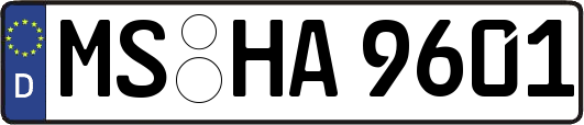 MS-HA9601