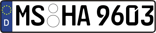 MS-HA9603