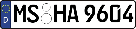 MS-HA9604
