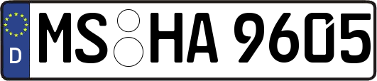 MS-HA9605