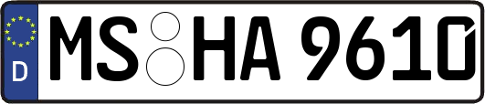 MS-HA9610