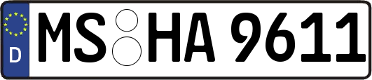 MS-HA9611